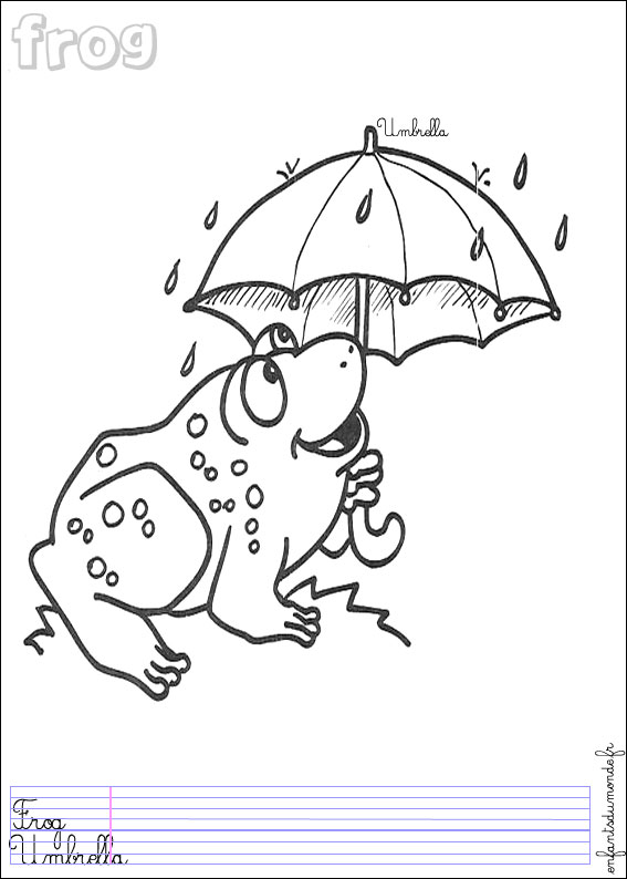coloriage grenouille 3